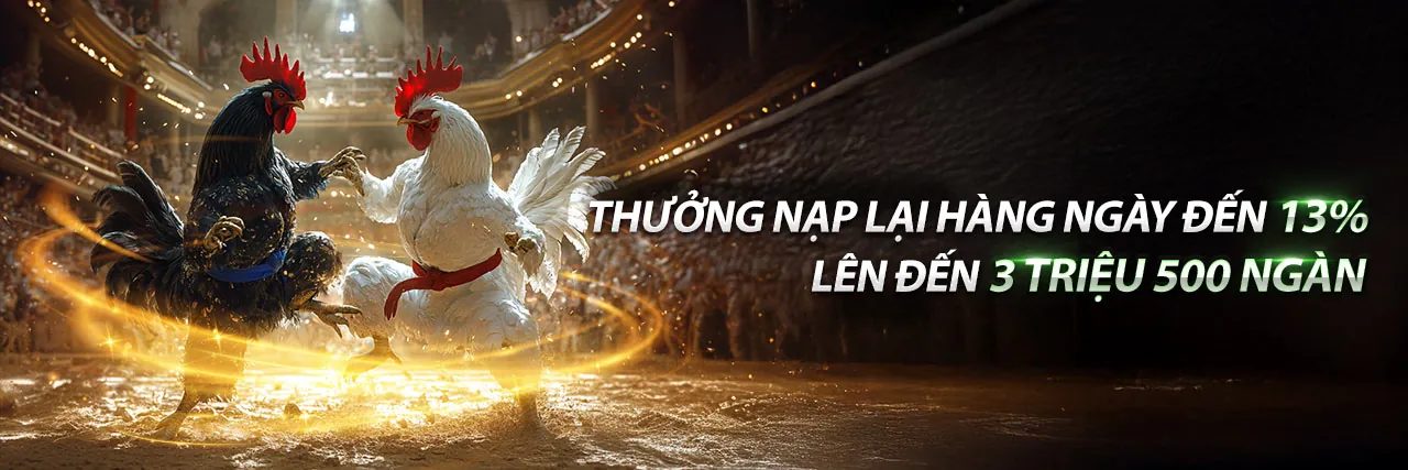 Đá gà trực tuyến 18bet Đăng Nhập